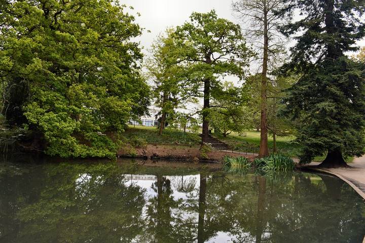 Mature trees reflected in the lake at Cannizaro Park, on the edge of Wimbledon Common